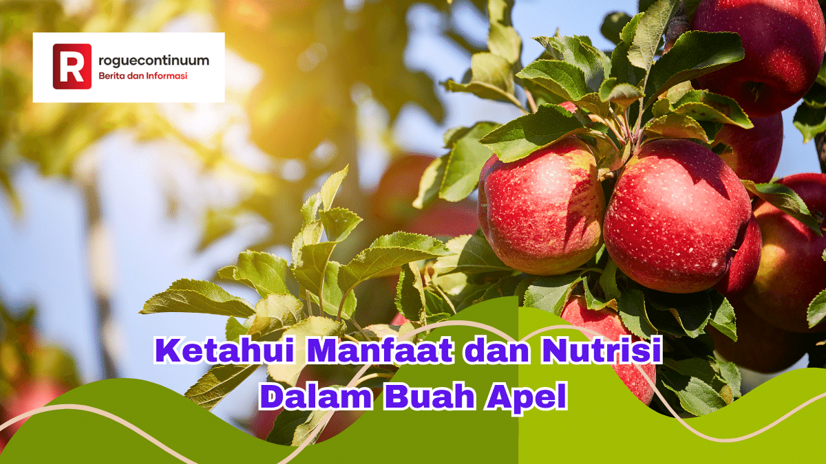 Ketahui Manfaat dan Nutrisi Dalam Buah Apel