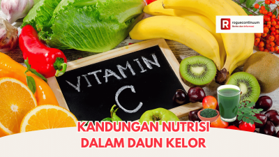 Mengenal Manfaat Vitamin C untuk Kesehatan Tubuh